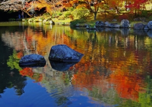 成田山公園紅葉まつり